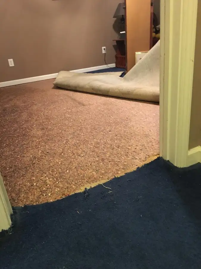 Carpet pad removal revealing water damage during Water Mitigation Services in Lake of the Woods