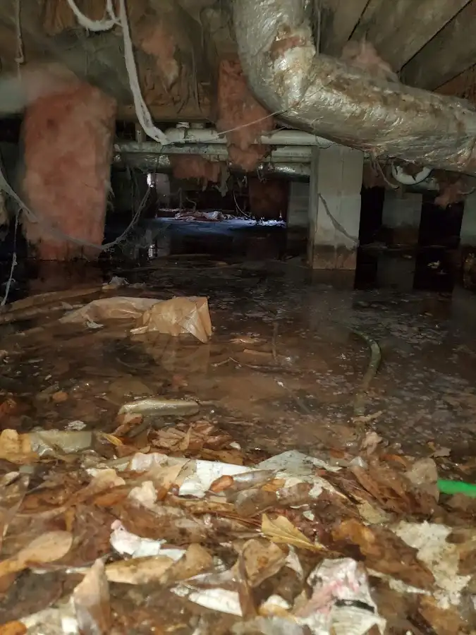 Crawl space flood assessment for Commercial Water Damage Restoration in Lake of the Woods