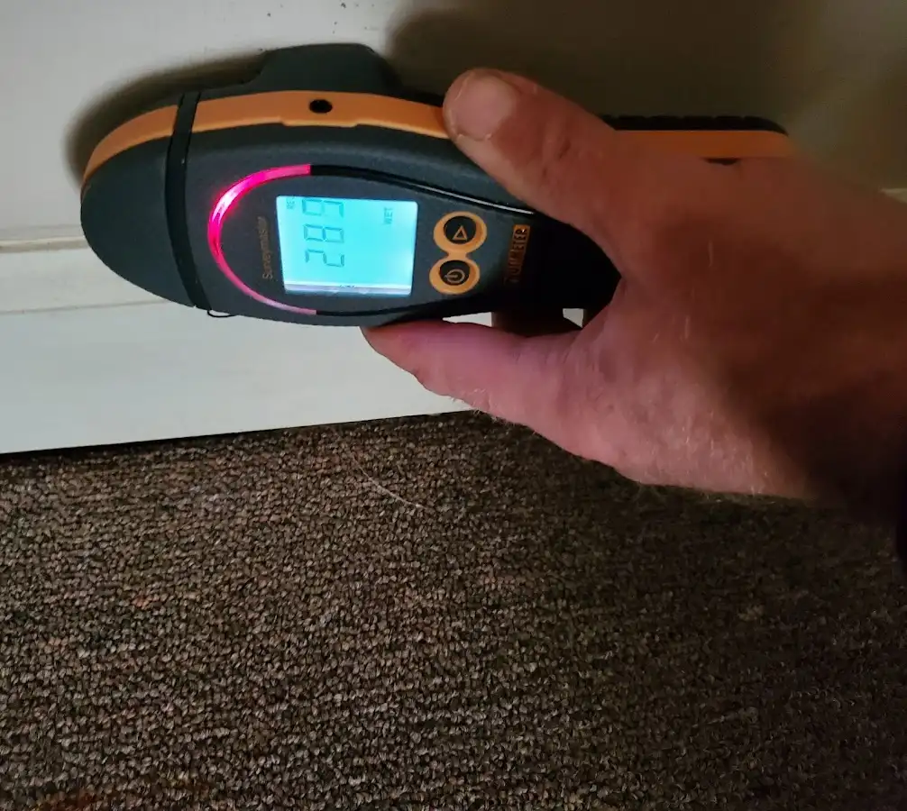 Moisture detection at baseboard during Sewage Cleanup & Sanitation in Lake of the Woods
